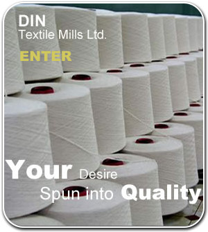 Din Textile Mills Ltd.